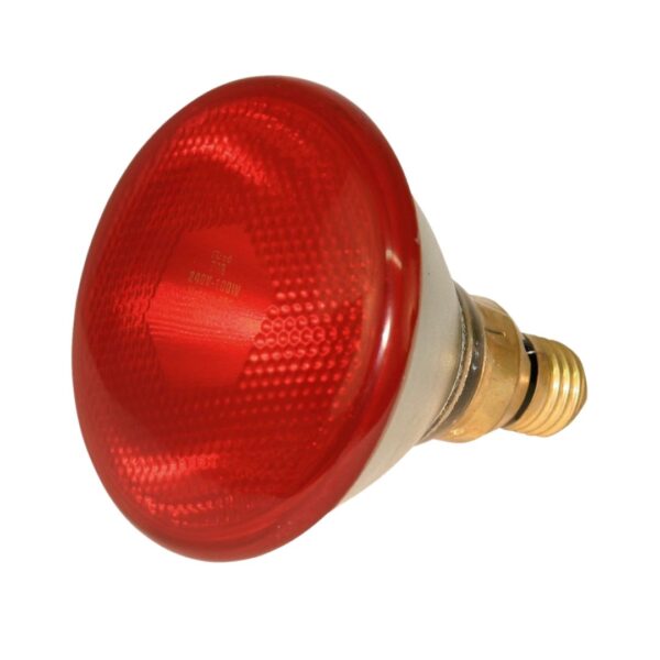 Ampoule infra rouge 175 watts