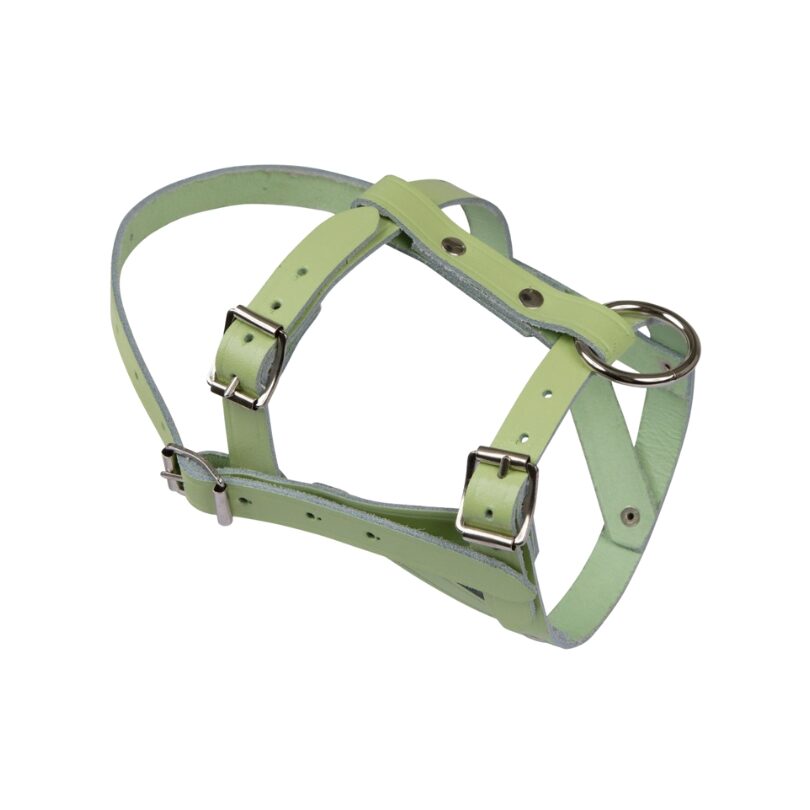 licol-mouton-belier