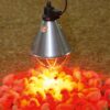 Protecteur de Lampe Infrarouge – Image 2