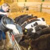Bac Milk Bar MB 26 - 6 Places / 36 Litres – Image 2