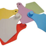 Boucle d’Identification FlexoPlus pour Bovins - Marquage Fiable et Durable - Lot de 25