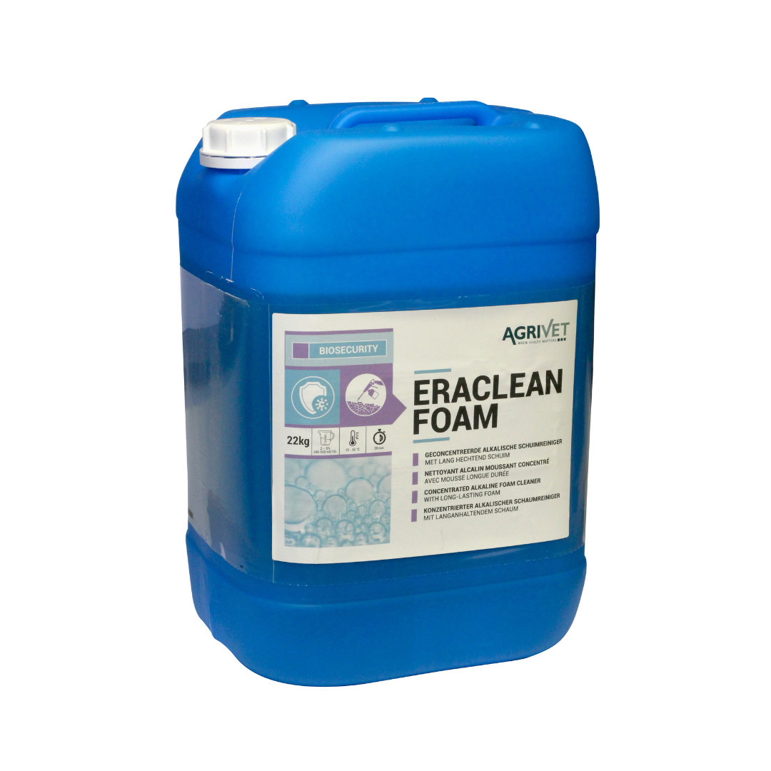 eraclean-foam