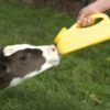 Biberon Milk Bar pour Veau - 3 Litres – Image 2