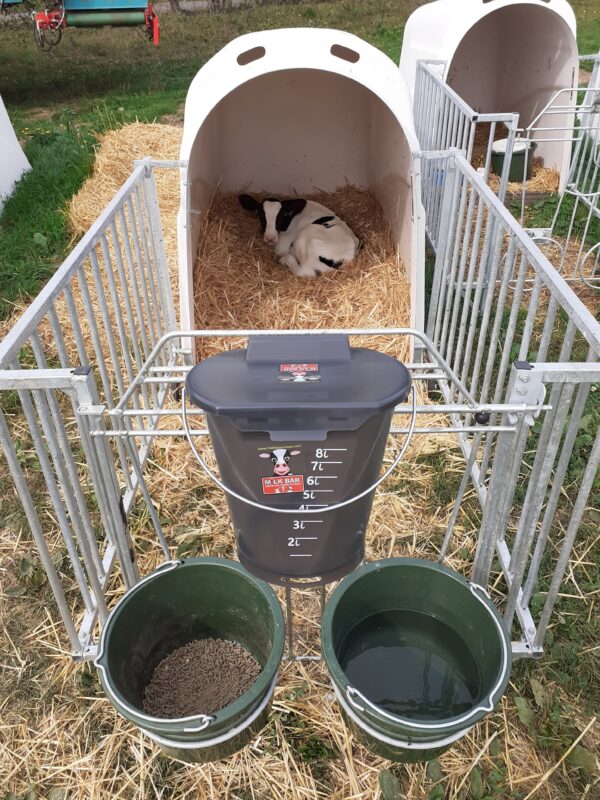 seau euro bucket Milk Bar