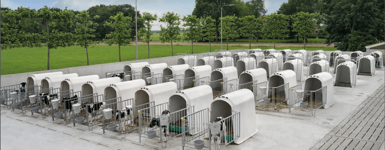 Niche Individuelle Comfort + Combifeeder - Calfotel – Image 7