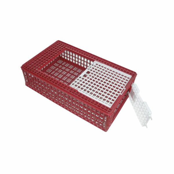 Cage de transport pour poule