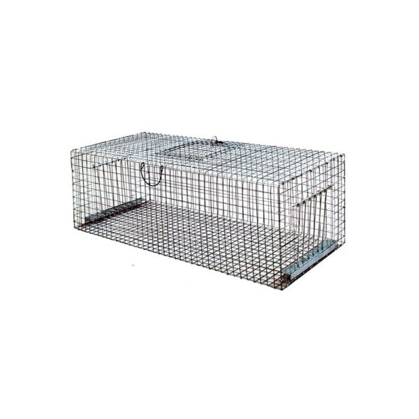 Cage à Pigeons Multiprises
