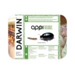 Darwin - Lutte Contre les Ténébrions - Lot de 10