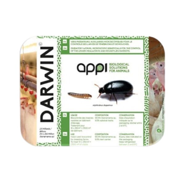 Darwin - Lutte Contre les Ténébrions - Lot de 10