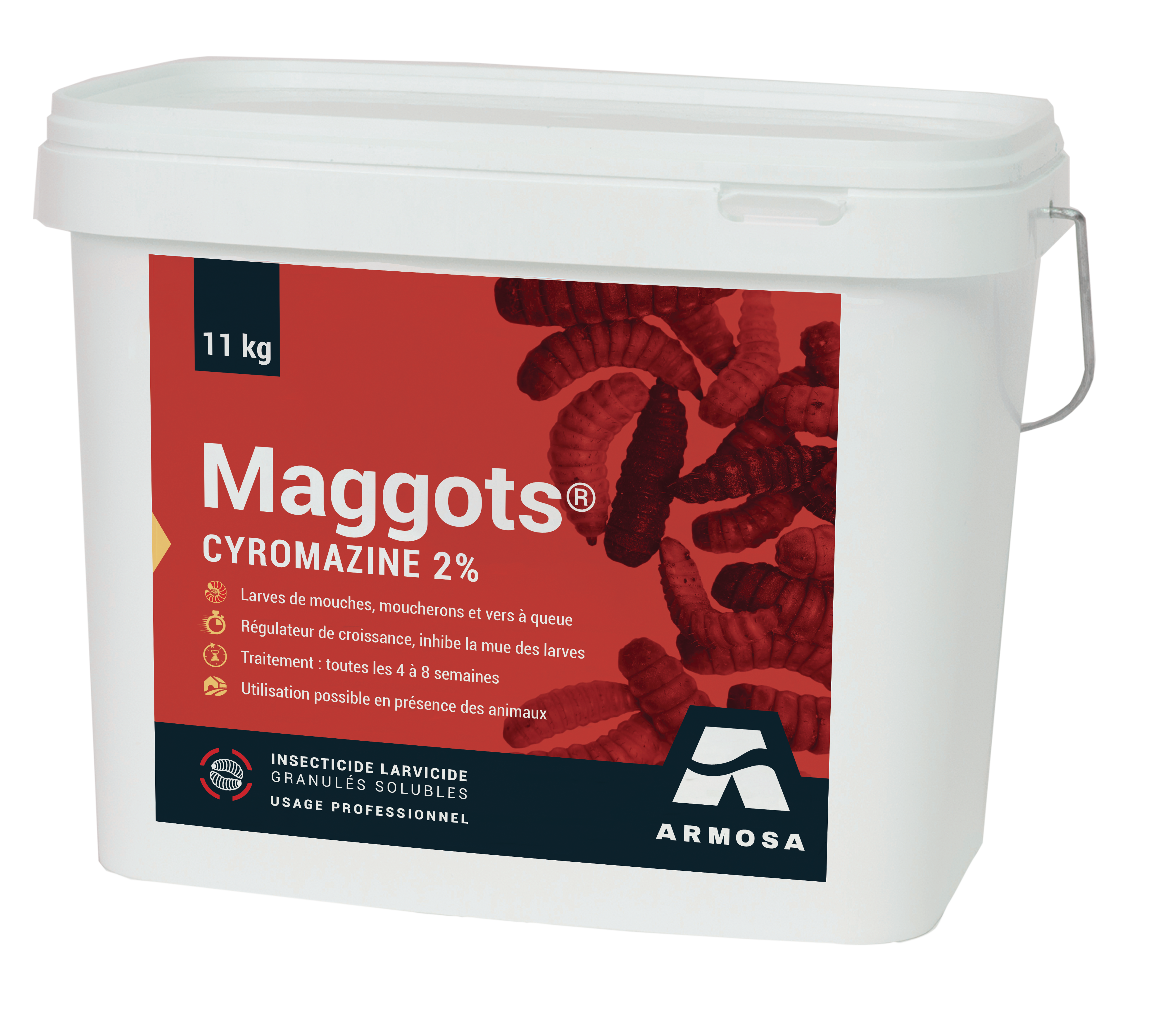 maggots_11_kg