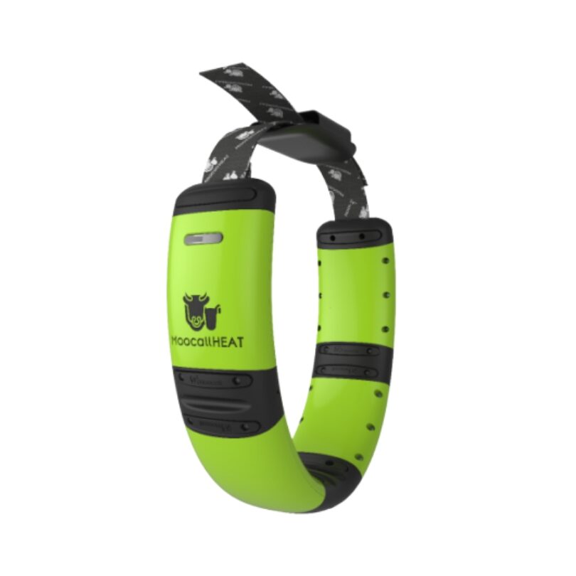 moocall-heat-detecteur-chaleur