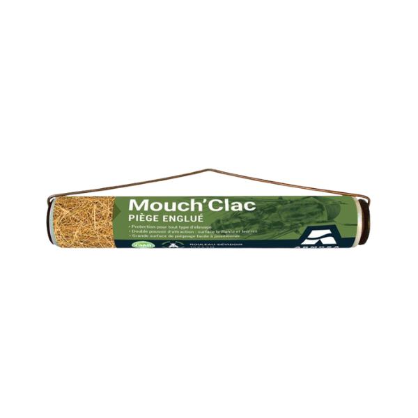mouch-clac-piege-englue