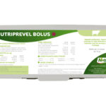 Bolus NUTRIPREVEL - Préparation au vêlage - Lot de 14