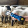 Tondeuse Aesculap Econom Ovin – Image 3
