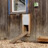 Kit Porte automatique de poulailler 300X400 – Image 4