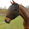 Masque anti-mouches pour cheval – Image 2