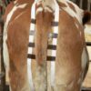 Bandage Prolapsus – Image 2