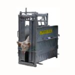 Cage à Veau avec Tête de Contention Autobloquante