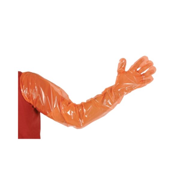Gant de Vêlage Unique - Lot de 100