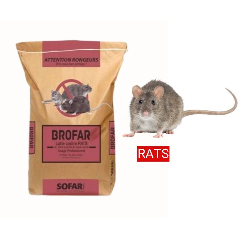 brofar-rats