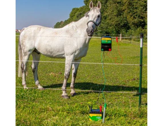 fils-electrique-cheval-blog