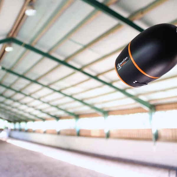 Caméra FarmCam Mobility 4G – Image 3