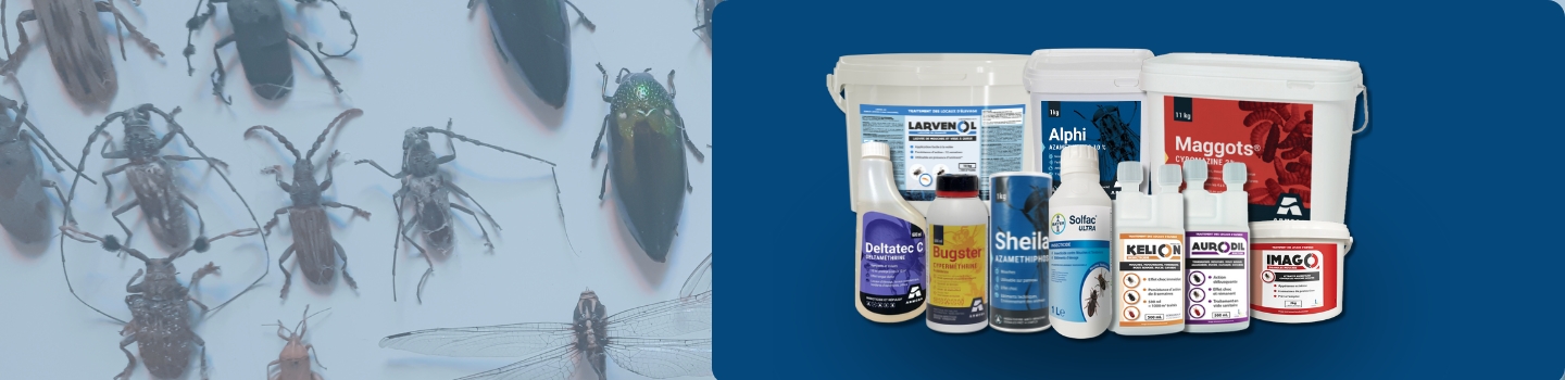 slider-produits-insectes