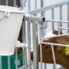 MILKFEEDER – Image 4