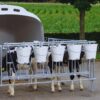 MILKFEEDER – Image 3
