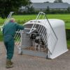 NICHE CALFOTEL XL 2 PLACES avec parc – Image 4