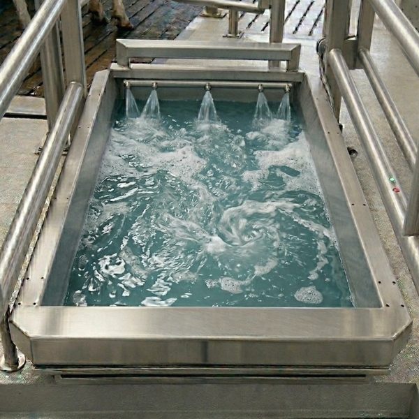 pediluve-automatique-bovin