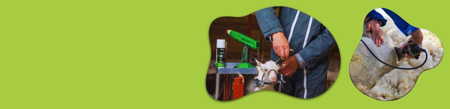 slider-promo-tontes-ecornages