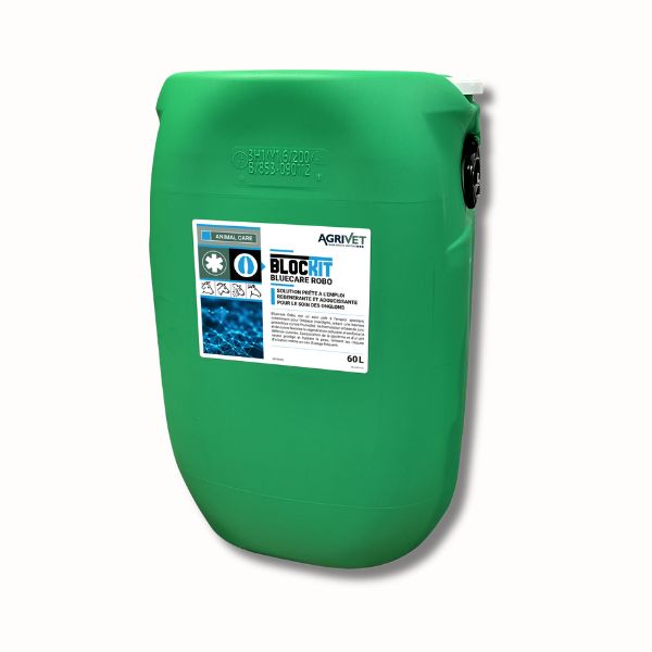 Blockit Blucare robot