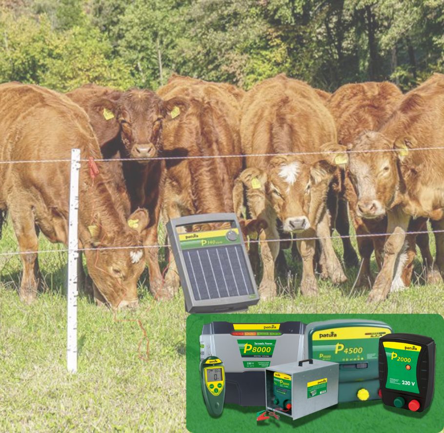 slider-mobile-electrificateurs (1)