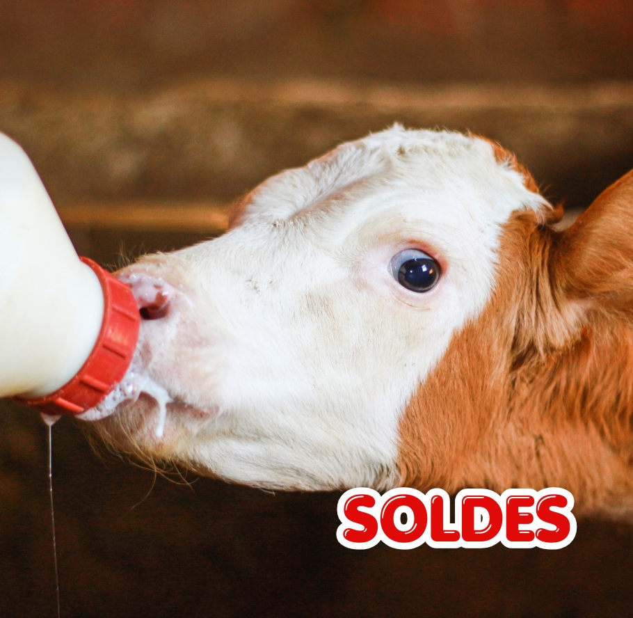 slider-mobile-solde-ete