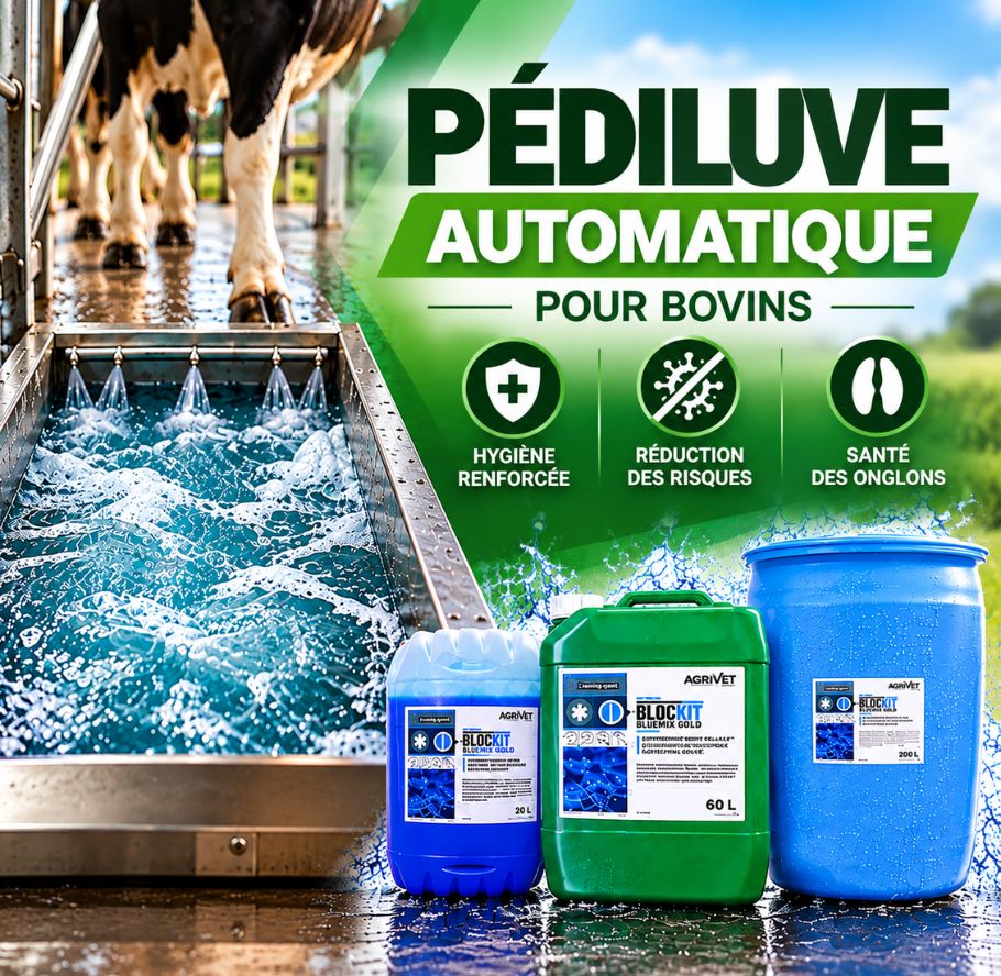 slider-mobile-pediluve-auto